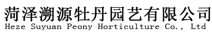 菏泽溯源牡丹园艺有限公司